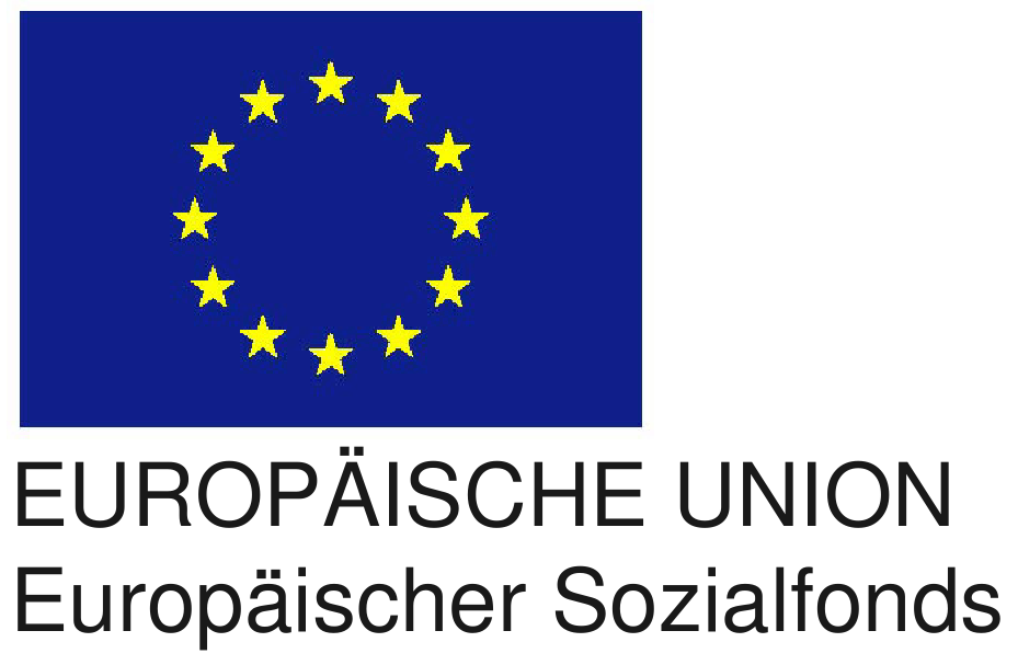 EU flag 2colors
